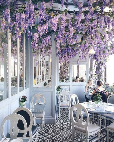 WOW! What a stunning restaurant draped in wisteria! It's Aubaine Selfridges in #London snapped by @snowflakesfairy#lovegreatbritain Aubaine Selfridges, Jeff Leatham, Café Design, Design Café, Home Luxury, Salon Ideas, Inside Design, Meme Design, Interior Design Art