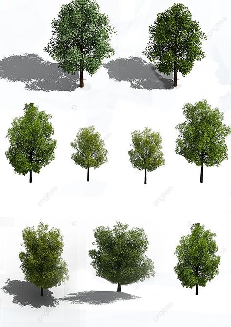 Tree Birds Eye View, Bird Eye View Tree, Bird Eye View Architecture, Tree Architecture, Tree Collage, Street Trees, City Vector, City Cartoon, Bamboo Tree