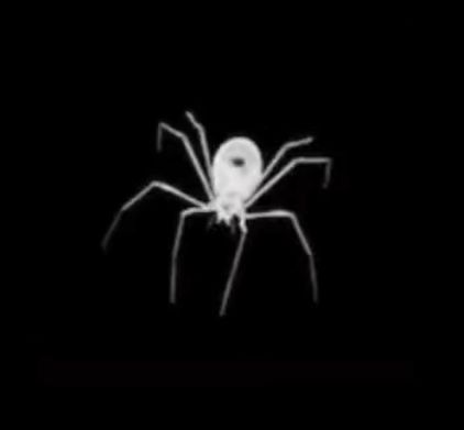 Spider Pfp, Pfp Images, Y2k Pictures, Spider Cartoon, Black And White Spider, Y2k Icons, Y2k Profile Picture, Y2k Background, White Spider