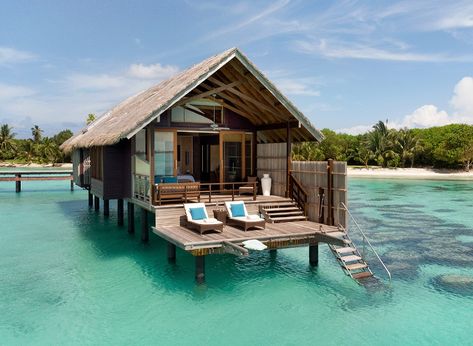 5 Overwater Bungalows Close To Home Maldives Water Villa, Water Bungalow, Maldives Beach, Visit Maldives, Water Villa, Maldives Resort, Overwater Bungalows, Maldives Travel, Surf Camp