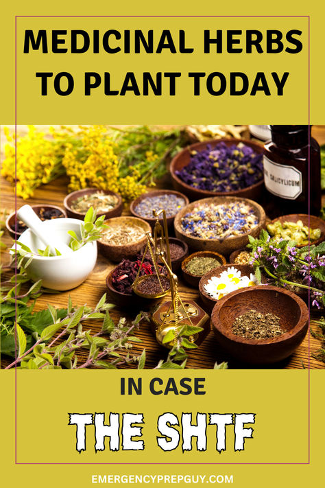 A selection of dried herbs, flowers, and tools on a wooden table showcasing how to grow medicinal herbs for natural remedies. Prepper Garden, Medicinal Herbs To Grow, Plants And Their Uses, Herbs To Plant, Medicinal Herb Garden, Medicinal Herbs Remedies, Herbs To Grow, Emergency Preparedness Food, Medicinal Herbs Garden