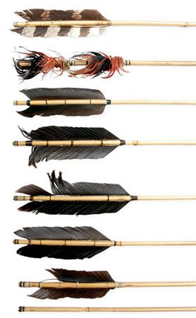 Jager Tattoo, Arrow Fletching, Archery Shop, Hawk Feathers, Archery Gear, Arts And Science, Archery Supplies, Arrow Feather, Primitive Survival