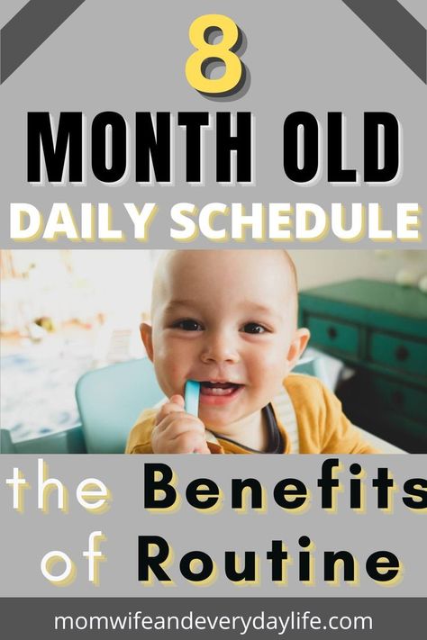 Get your 8-month-old on track with a consistent daily routine! From nap time to meal time, discover how establishing a structured schedule can benefit your little one's development and help them thrive. 8 Month Old Schedule, 8 Month Baby, Daily Routine Schedule, Baby Routine, A Daily Routine, Baby Schedule, Time Schedule, Routine Tips, What A Day