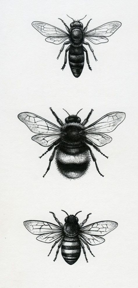 Petit Tattoo, Bee Drawing, Insect Tattoo, Tattoo Zeichnungen, Sun Tattoos, Bee Tattoo, Insect Art, Bee Art, Piercing Tattoo