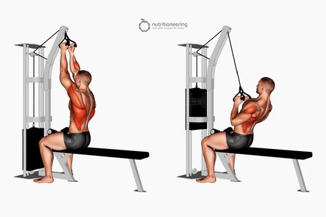 Lateral Pull Down Machine, Lat Machine Workout, Salmon Nutrition Facts, Lat Pulldowns, Exercise Images, Back And Shoulder Workout, Inverted Row, Powerlifting Gym, Workout Gym Routine