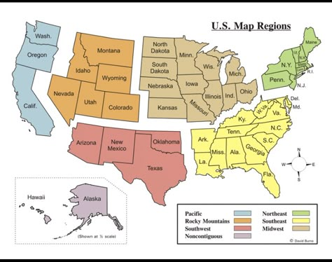 United States Regions, Mental Map, Cc Cycle 3, Teaching Geography, States And Capitals, Homeschool Social Studies, Homeschool Geography, Homeschool History, United States Map