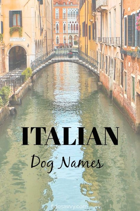 Italian Dog Names, Pet Names In Latin, Rustic Dog Names, Italian Names Boy, Puppy Litter Theme Names, Puppy Girl Names, Big Dog Names, Boy Puppy Names, Disney Girl Dog Names