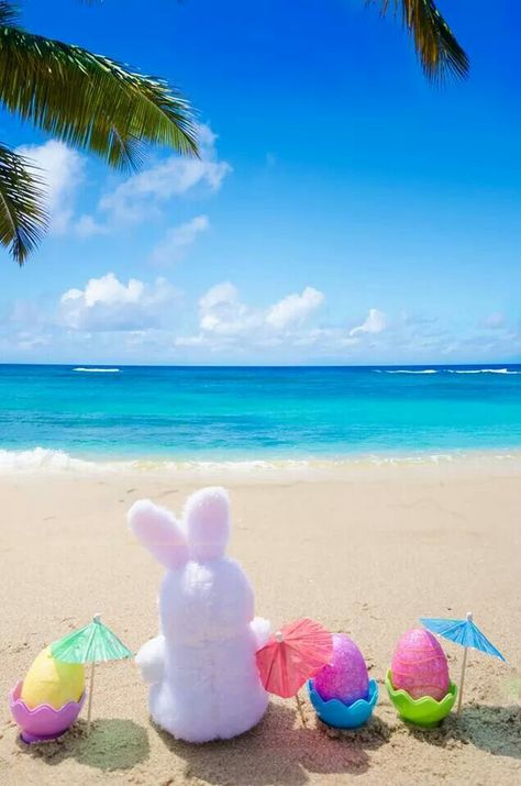 Easter Bunny's vacation begins. Ocean Backgrounds, Content Ideas, Fairy Art, Easter Spring, Happy Easter, Easter Bunny, Bing Images, Beach Mat, Pool Float