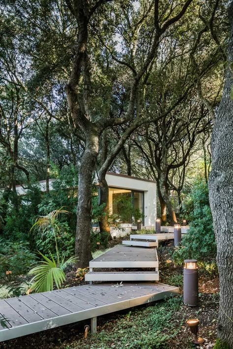 deck-walkway-path-to-modern-house-in-forest-sardinia Forest House, Design Exterior, Outdoor Deck, Design Milk, Casas De Ensueño, House In The Woods, Minimalist Home, Landscape Architecture, In The Woods