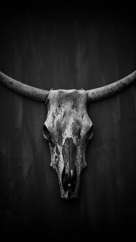 Sovereign Raya Morris Edwards, Cattle Prod, Cattle Skull, Pen Work, Violet Aesthetic, Country Lifestyle, Bull Skull, Skull Artwork, Bull Skulls