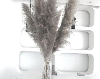 Grey Pampas, Pink Pampas Grass, Dried Pampas, Grass Decor, Pampas Grass Decor, Grass Wedding, Dried Bouquet, Color Complement, Dried Flower Arrangements