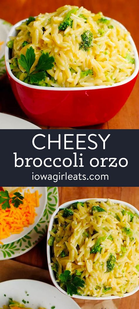 Cheesy Broccoli Orzo - Easy Pasta Side Dish Recipe Easy Pasta Side, Side Dishes For Pork Chops, Orzo Easy, Healthy Sides For Chicken, Orzo Recipes Side, Cheese Orzo, Pasta Side Dishes Easy, Broccoli Orzo, Pasta Side Dish