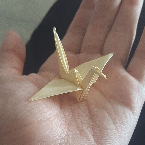 Movie Inside Out, Origami Bird, Paper Birds, Origami Crane, Mia 3, Paper Crane, Fantasy Aesthetic, Little Bird, Little Things