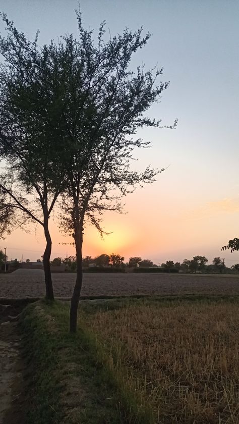 Beautiful Evening in Village Night Village Aesthetic, Night Village Snap, Evening Snapchat Stories, Village Snapchat Story, Sky Pictures Real Life Snapchat, Village Snap, Village Pic, Evening Snap, Village Vibes