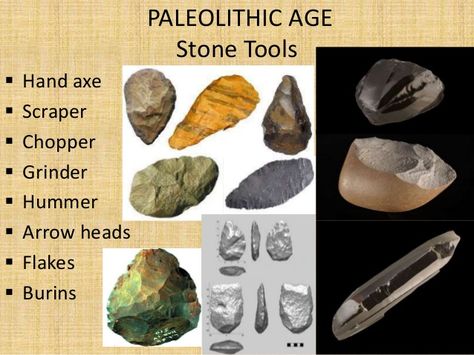 Ancient Artifacts Prehistoric, Paleolithic Period, Prehistoric Period, Stone Age Tools, Wooden Tools, Ancient Indian History, Arrow Heads, Stone Tools, Time Periods