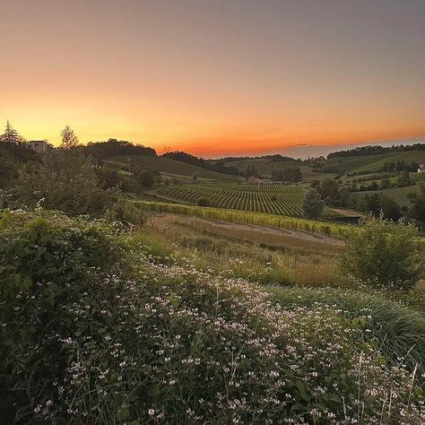 Italy Countryside Aesthetic, Italy Countryside, View Aesthetic, Avatar Images, Italy Aesthetic, Italian Summer, The Velvet, Florence Italy, Luxury Life