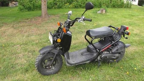 The History and Evolution of the Honda Ruckus Honda Zoomer, Honda Ruckus, Sport Bikes, The History, Evolution, Motorcycles, Bike, History, Vehicles