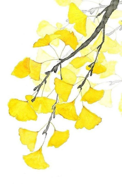 Ginkgo Art, Watercolor Paintings Nature, Floral Watercolor Paintings, Ginkgo Leaves, Leaves Art, Watercolor Projects, 수채화 그림, Watercolor Paintings Tutorials, Ginkgo Leaf