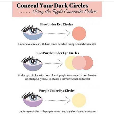 Purple Undereye, Face Makeup Guide, Peach Concealer, Face Contouring Makeup, Concealer Colors, Dark Circle, Makeup Guide, Fashion Designing, Undereye Circles