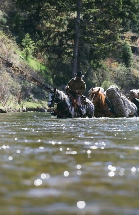 Cowboy Pictures, Real Cowboys, Wilde Westen, Cowboy Gear, Cowboy Horse, Western Life, Western Riding, Cowboys And Indians, Cowboy Up