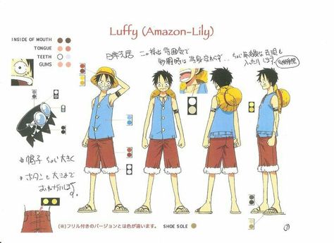 Monkey D. Luffy, text, different views; One Piece Luffy Outfits, Oda Art, Characters Sheet, Character Model, Character Model Sheet, Model Sheet, One Piece Drawing, One Piece Images, One Piece Pictures