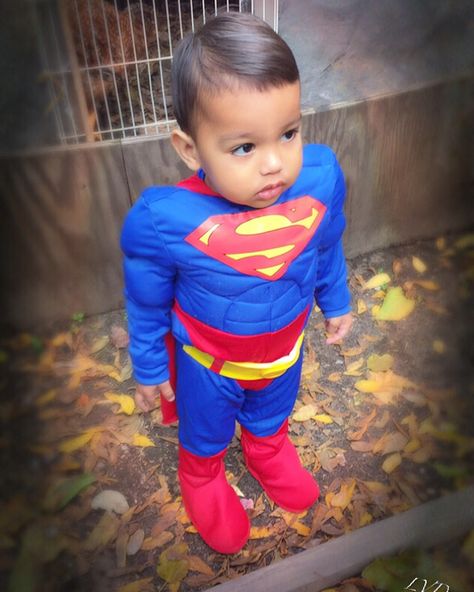 Superman Halloween costume Superman Halloween, Superman Halloween Costume, Superman Costumes, Supergirl Superman, Toddler Photography, Baby Party, Baby Halloween, Supergirl, Cute Halloween