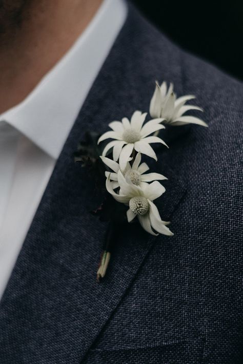 Buttonhole Flowers, 2024 Lookbook, Flower Girl Petals, Romantic Wedding Flowers, Button Holes Wedding, Flannel Flower, Southern Highlands, Groom Looks, Boutonniere Wedding