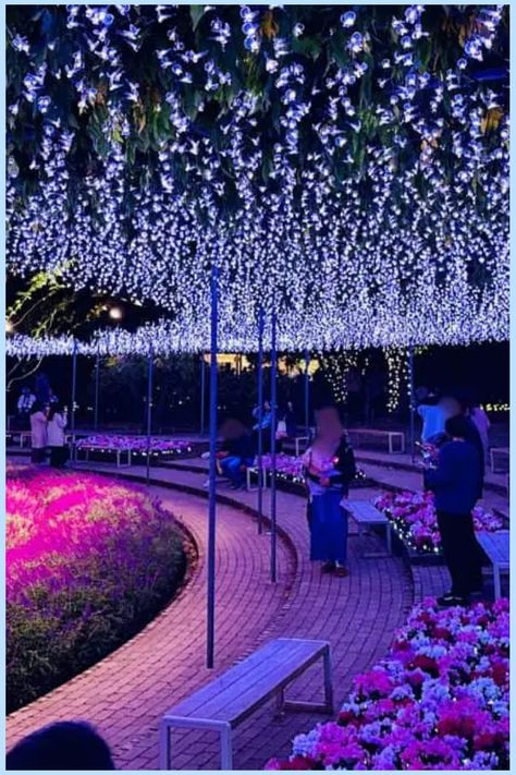 Wondering if Ashikaga Flower Park is worth a visit? Use our guide for insights and tips to help you decide. Don’t miss out on this floral wonderland! Flower Park, One Day Trip, Travel Adapter, Scenic Landscape, Iconic Landmarks, Adventure Awaits, Virtual Tour, Cultural Heritage, Japan Travel