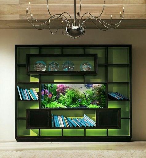 Fish Tank Cabinets, Wall Aquarium, Fish Tank Stand, Amazing Aquariums, Betta Fish Types, Diy Aquarium, Nature Aquarium, Divider Design, Home Aquarium