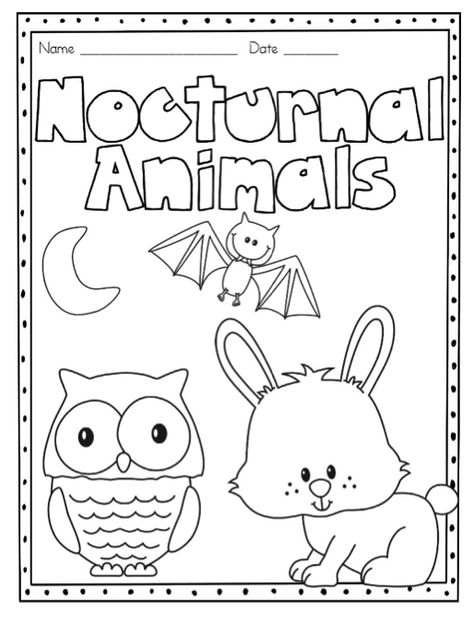 nocturnal animals Nocturnal Animals Activities Toddlers, Nocturnal Animals Craft, Nocturnal Animals Preschool Crafts Art Projects, Nocturnal Animals Sensory Bin, Nocturnal Animals Preschool Activities, Nocturnal Animals Preschool Worksheets, Preschool Nocturnal Animals Activities, Nocturnal Animal Crafts For Toddlers, Free Nocturnal Animals Preschool