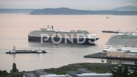 Holland America Line Cruise Ship Westerdam Arrives In Seattle Holland America Line, Holland America, Cruise Ship, Stock Video, Stock Footage, Holland, Seattle