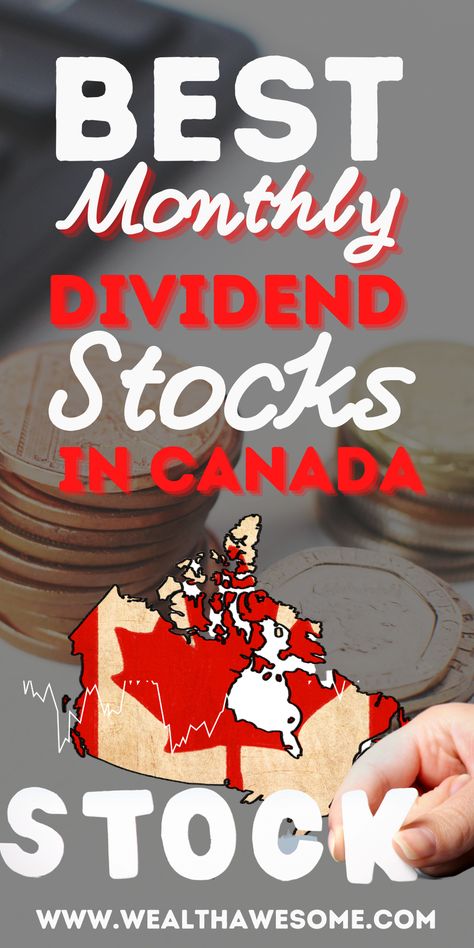 Passive Income Canada, Etf Investing, Best Dividend Stocks 2023, Best Stocks To Invest In 2023, High Dividend Stocks, Monthly Dividend Stocks, Canadian Dividend Stocks, Dividends Every Month, Stocks That Pay Monthly Dividends