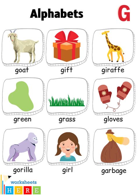 Alphabet G Words with Pictures, Letter G Vocabulary with Pictures - WorksheetsHere.com Letter G Kindergarten, G Flashcards, Aquatic Animals Pictures, Letter G Words, G Words For Kids, Synonym Activities, Letter Pictures, G Alphabet, Letter A Words