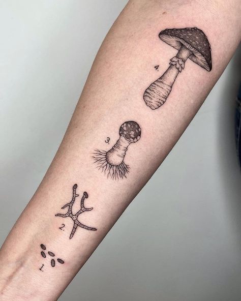 Mushroom Guerrilla on Instagram: “It's #TattooTuesday! 🖤 “Life cycle of an Amanita muscaria” (no-filter video beside it) Artist: Michele Volpi (@_mfox) #tttism #ink…” Fly Agaric Tattoo, Amanita Mushroom Tattoo, Fly Agaric Mushroom Tattoo, Amanita Muscaria Art, Amanita Muscaria Tattoo, Amanita Tattoo, Shroom Tattoo, Herbs Tattoo, Woodsy Tattoos