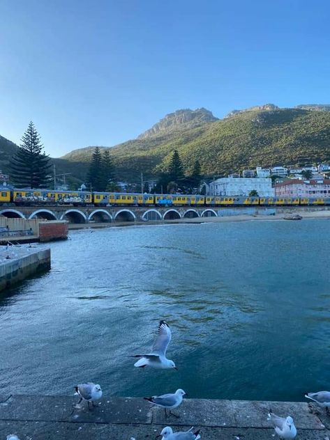 Iconic Kalk Bay♥️ Bay Photography, Kalk Bay, Camps Bay, Town Names, Table Mountain, Cape Town, Beautiful World, The Mountain, Camping