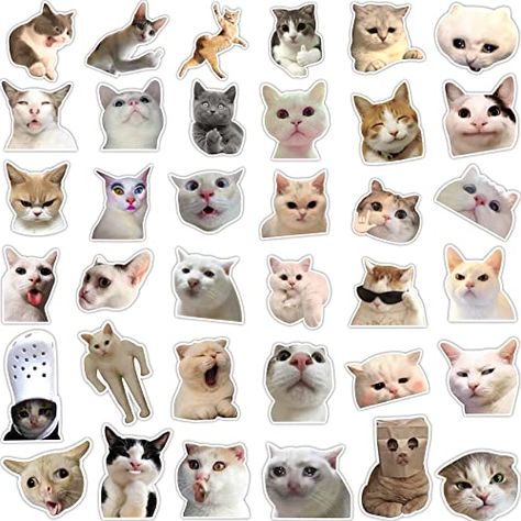 Stickers For Room, Funny Cat Stickers, Funny Looking Cats, Funny Cat Faces, Funny Cat Photos, Cat Info, Cat Meme, Room Decor Wall, Meme Stickers