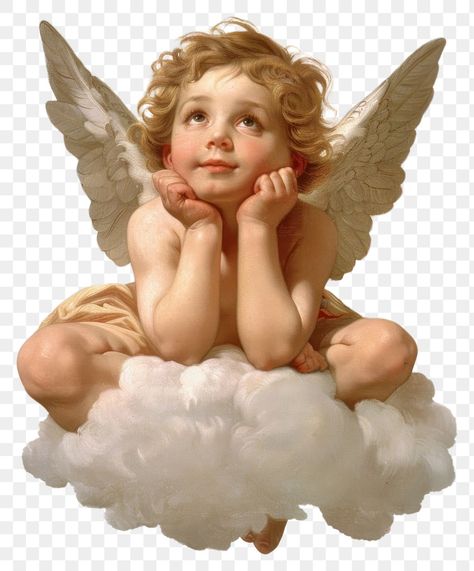 Cherub Aesthetic, Angel Aesthetics, Png Angel, Angel Wings Png, Baby Angel Wings, Wings Png, Winged Creatures, Angel Art, Baby Angel