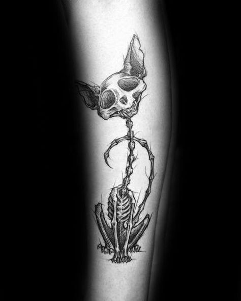 Cat Skull Tattoo, Dynamic Tattoo, Kitten Tattoo, Cat Tattoo Ideas, Black Cat Tattoos, Fantasy Tattoos, Skeleton Tattoos, Tattoo Ideas For Men, Creepy Tattoos