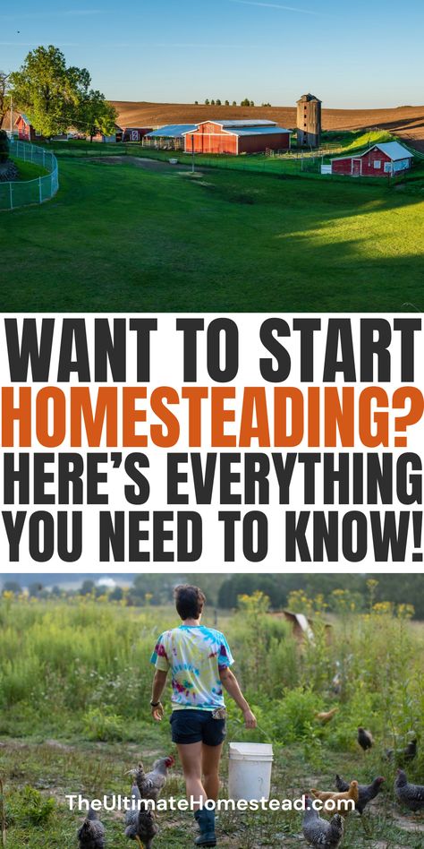 Want to embrace self sufficient living for beginners and take steps toward living independently? My article on starting homesteading shares practical homesteading ideas that focus on affordable sustainable living and developing hands on life skills. Whether you're interested in urban farming and sustainable living products or looking for homesteading ideas simple living, you'll find easy ways to begin today. Plus, get a FREE "101+ Garden Bed Layout Ideas" Ebook and FREE Garden Planner. Click to explore! Homesteading In Missouri, How To Start A Small Farm, Micro Homesteading, Homestead 101, Garden Bed Layout Ideas, Bed Layout Ideas, Farming For Beginners, Living Independently, Free Garden Planner