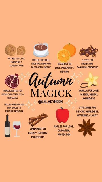 Drinks For Mabon, Mabon Recipes Desserts, Autumn Magic Witch, Witchy Thanksgiving, Mabon Food, Mabon Feast, Autumn Witchcraft, Mabon Art, Mabon Recipes