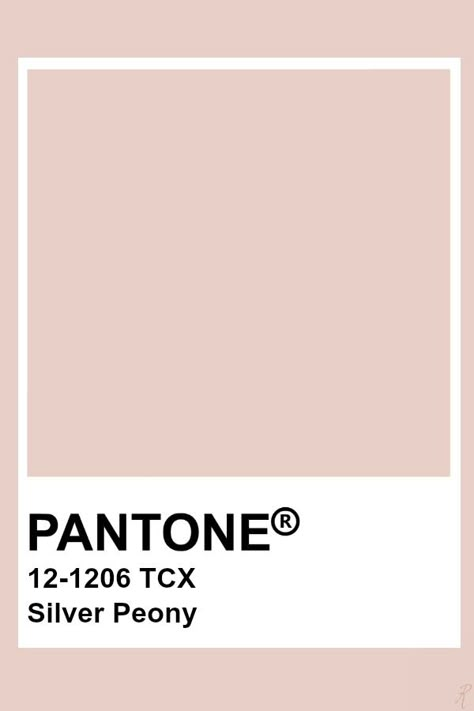 Pantone Silver Peony Pantone Peony, Pastel Pantone, Pantone Color Chart, Murs Roses, Pantone Swatches, Pantone Palette, Pantone Colour Palettes, Pantone Colors, Color Crush