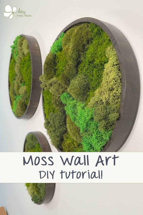 Get creative and add a unique touch of nature to your home decor with this easy-to-follow moss wall art DIY tutorial! With detailed step-by-step instructions, you can create your own moss wall with ease. Start your moss wall art project today! #naturedecor #plantideas #plantdecor #DIYplanterideas #biophilic #naturecrafts #artsyprettyplants Diy Moss Wall Art, Diy Moss Wall, Mos Wand, Moss Gardens, Diy Moss, Wall Art Tutorial, Moss Decor, Living Wall Art, Moss Wall Art