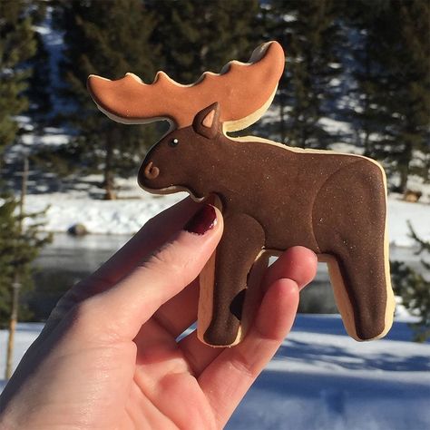 Moose Cookies, Campfire Cookies, Holiday Sugar Cookies, Creative Baking, Christmas Moose, Cookies Decorated, Perfect Cookie, Fun Cookies, Grizzly Bear