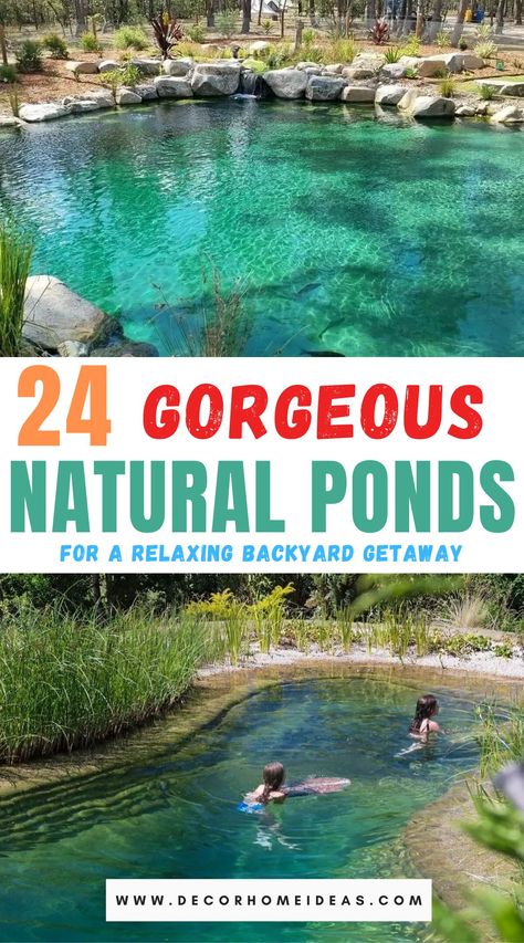 Best Natural Swimming Ponds Ideas Living Pool Pond, Small Swimming Ponds Backyard, Nature Pools Backyard, Natural Swim Ponds, Natural Pool Ideas Swimming Ponds, Natural Swimming Ponds Ideas, Swim Ponds Backyard, Pond Pools Backyard Diy, Natural Ponds Backyard Swimming Holes