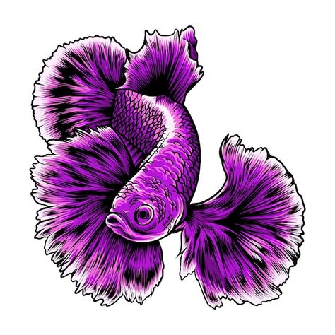 Dumbo Ear Betta, Betta Fish Art, Purple Illustration, Dumbo Ears, Fish Drawing, Art Sketch, Fish Art, Betta Fish, Sea Animals