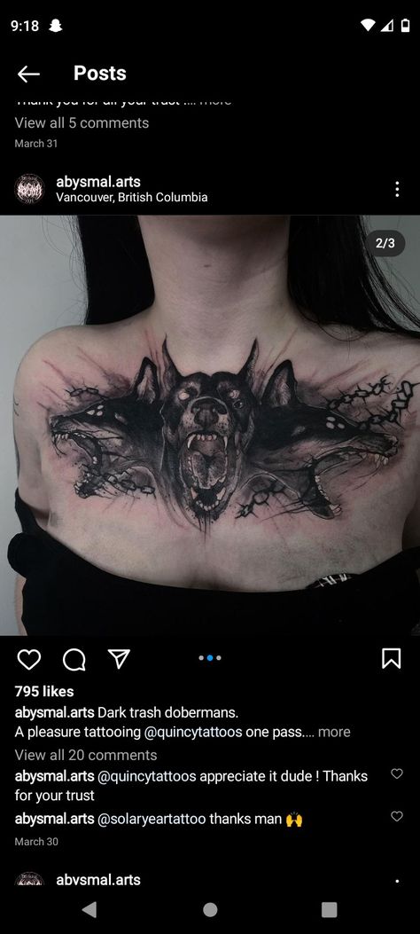 Three Headed Dog Tattoo, Cerberus Drawing, 3 Headed Dog Tattoo, Cerberus Chest Tattoo, Cerberus Arm Tattoo, Cerebus Dog Tattoo, Cerberus Tattoo, Cerberus Dog Tattoo, Cerberus Chest Piece