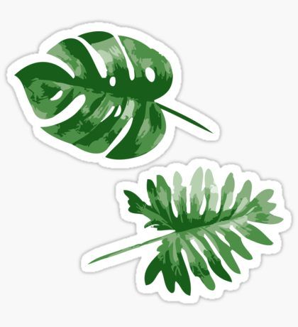 Monstera Sticker, Flamingo Stickers, Foto Transfer, Bubble Stickers, Green Sticker, Tumblr Stickers, Stickers Redbubble, Hydroflask Stickers, Phone Stickers