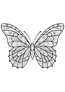 Butterflies free to color for kids | Butterflies - Coloring pages for kids | JustColor Kids Butterfly Pictures To Color, Butterfly Coloring Pages, Insect Coloring Pages, Butterfly Coloring, Butterfly Mandala, Rainbow Canvas, Butterfly Printable, Mandalas Painting, Mandalas Drawing