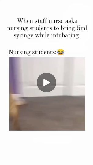 105K views · 1.9K reactions | 😍Dm us for feature on my page😍....🙏 please dm us I will give you  credit or remove)🙏
___________________________________
Follow Nurse Memes more! 
___________________________________
Follow Nurse Memes more! 
___________________________________
Follow  Nurse Memes  for more! 
___________________________________
👇
📷credit @unknown
.
.
.⚠️All rights® reserved and belong to the owner of the video/photo/sound.
Dm insta handle for credit/removal if u aren't tagged✌️
.
.
.
#nurse #nurselife #nurses #nurseproblems #nursestudent #nursesofinstagram #nursedaily #nurselifern #nurseintraining #nurselifestyle #nurseday #nursestrong  #nurseries #nurseschool #cna #medicalschool #nurseunite #nursehumor #nursesofinstagram #hospital #rnaf #registrednurse #nightnurse #emer Nurse Problems, Night Nurse, Nursing Memes, Nurses Day, Video Photo, Bed Bugs, Nurse Humor, Work Humor, Nurse Life