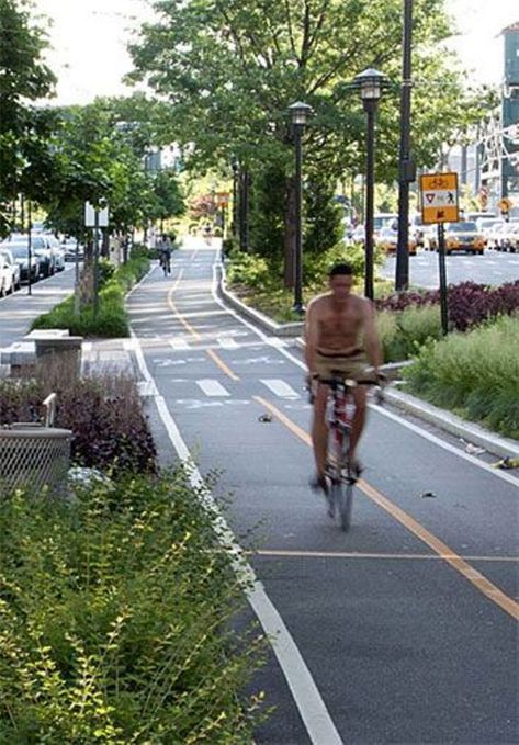 Yosemite Shaped Olmsted’s Vision of Public Parks Bicycle Lane Design, Bike Lane Design, Bicycle Lane, Villa Architecture, Streetscape Design, New Urbanism, Green Bike, Linear Park, Urban Landscape Design